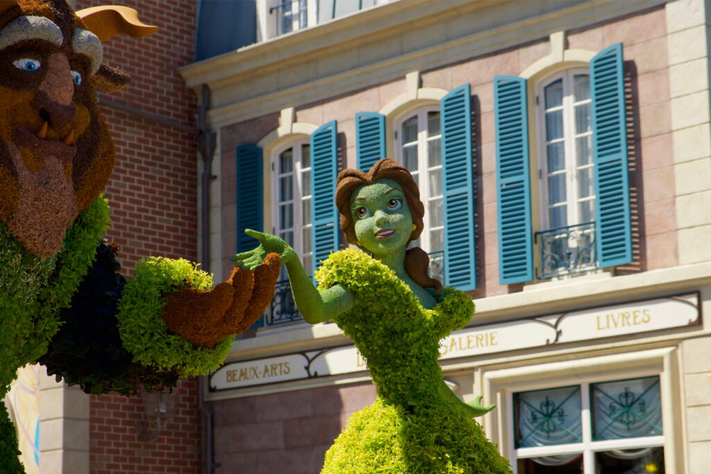 beast and belle flower and garden