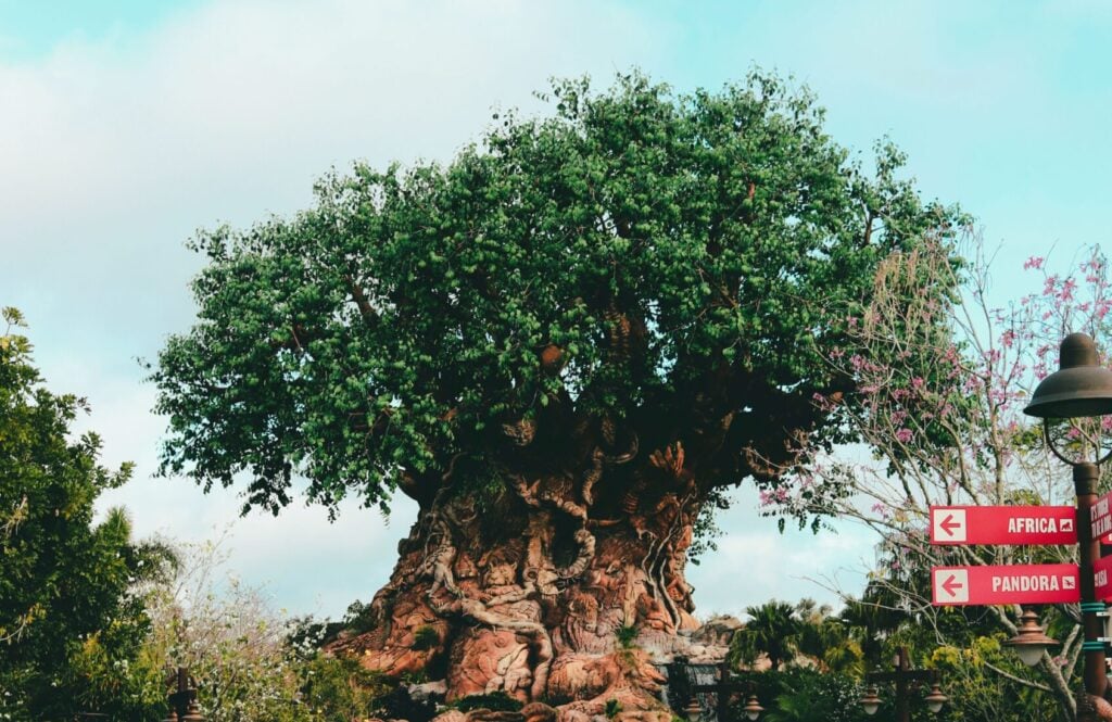 tree of life